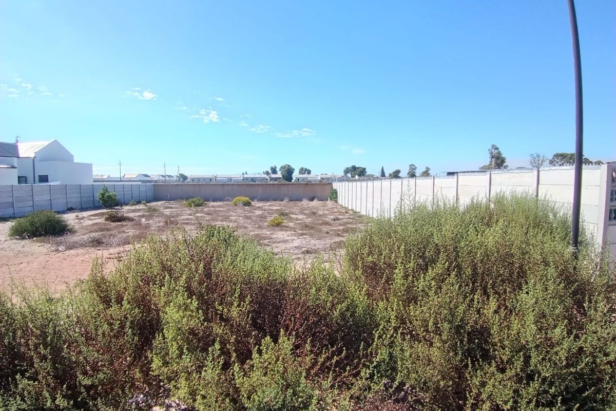 A vacant residential plot enclosed by precast concrete boundary walls, featuring natural ground cover and overgrown vegetation.
