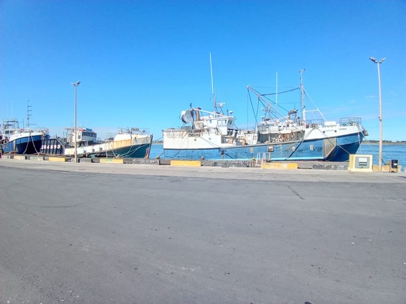 A view of a paved harbor area with several fishing vessels docked alongside the pier.