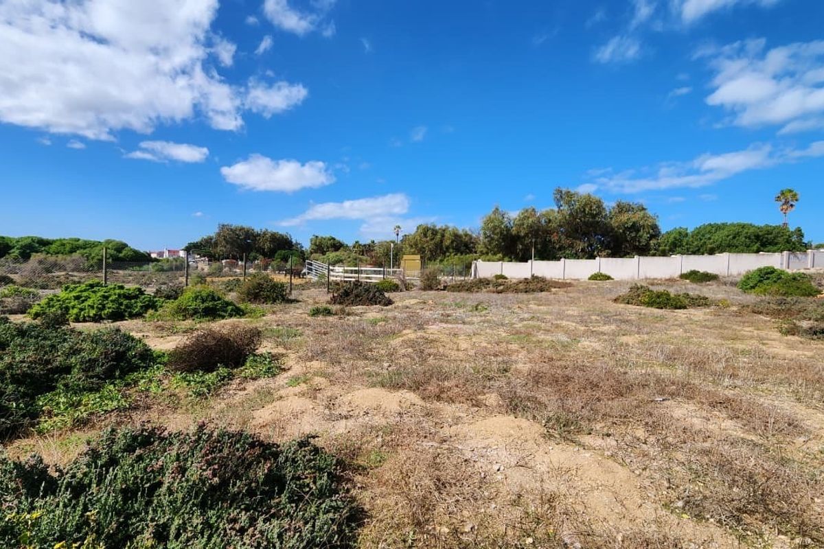 A vacant residential plot featuring natural vegetation, perimeter fencing, and a boundary wall, offering a blank canvas for future development.
