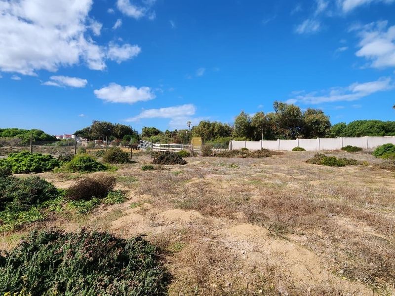 A vacant residential plot featuring natural vegetation, perimeter fencing, and a boundary wall, offering a blank canvas for future development.