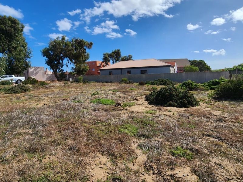 A vacant residential plot featuring natural vegetation, enclosed by a perimeter wall and fencing, ready for development.