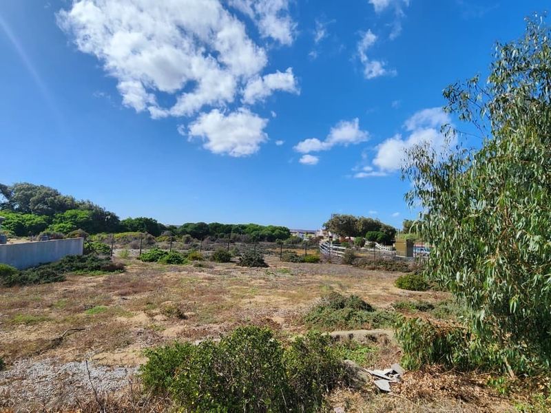 A view of a vacant residential plot featuring natural vegetation, perimeter fencing, and a boundary wall.