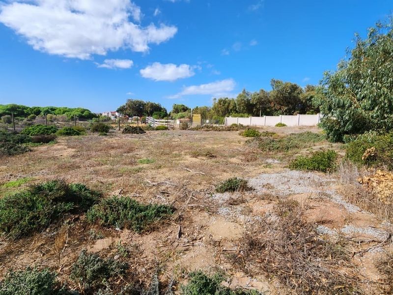 A vacant residential plot featuring natural vegetation, perimeter fencing, and a boundary wall, offering a clear space for future development.