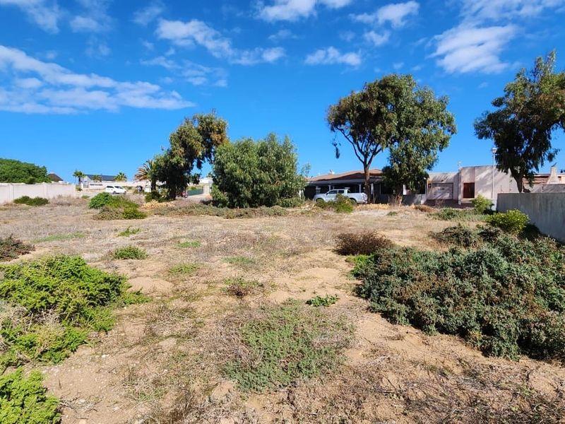 A vacant residential plot featuring natural vegetation, enclosed by boundary walls, offering a blank canvas for future development.