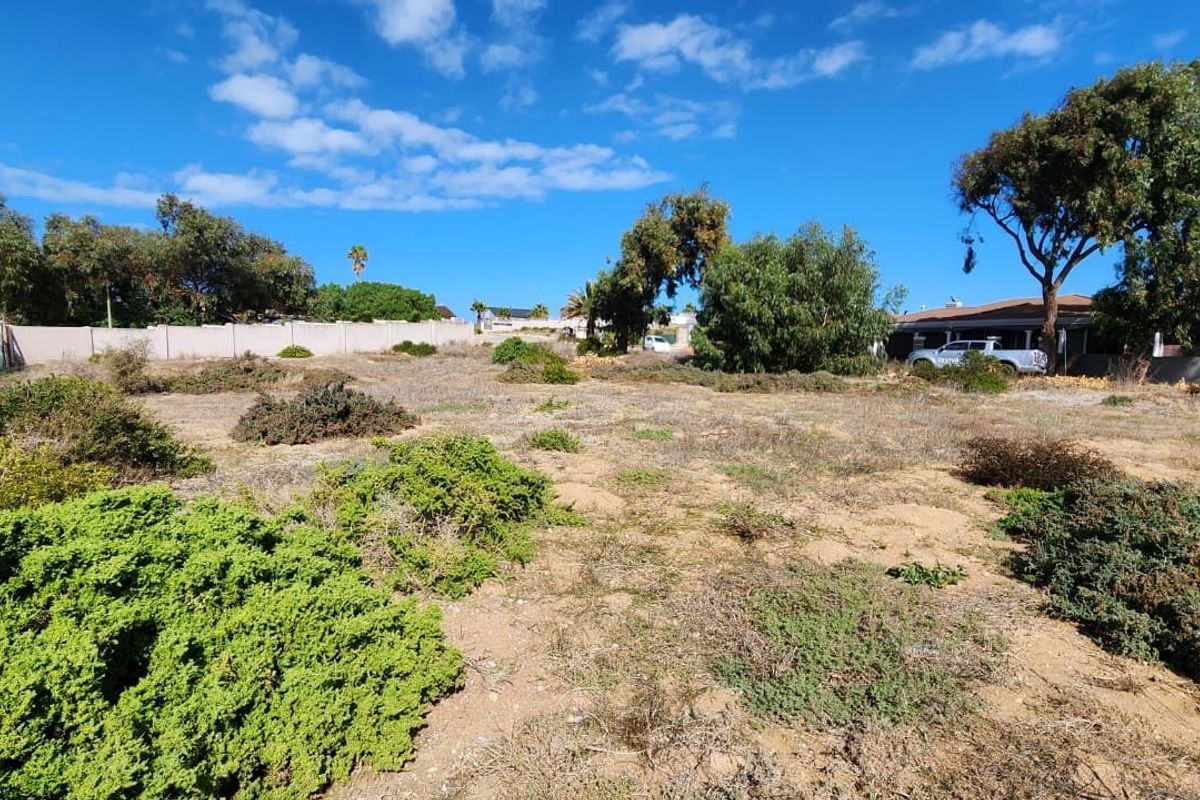 A vacant residential plot featuring natural vegetation, enclosed by boundary walls and fencing, offering a clear space for future development.