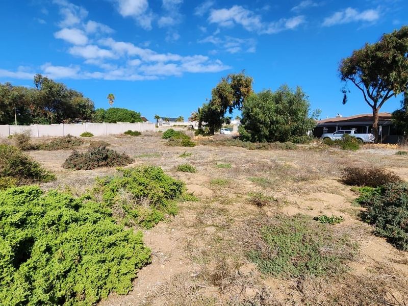A vacant residential plot featuring natural vegetation, enclosed by boundary walls and fencing, offering a clear space for future development.
