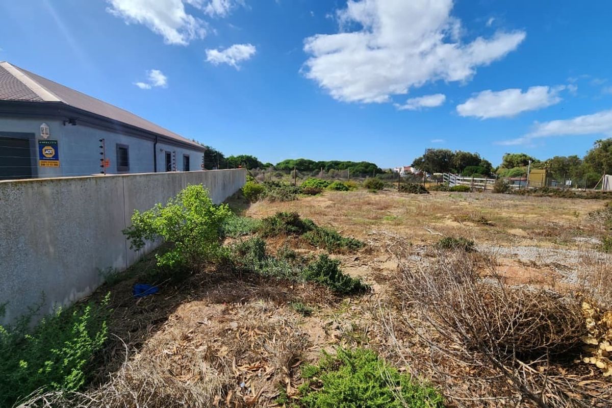 A vacant residential plot featuring a boundary wall and natural vegetation, offering a clear space for potential development.