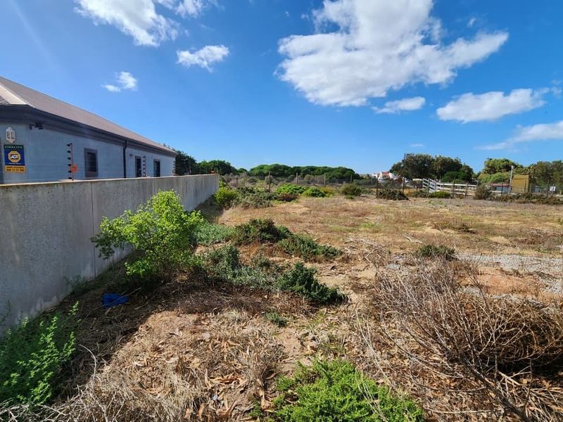 A vacant residential plot featuring a boundary wall and natural vegetation, offering a clear space for potential development.