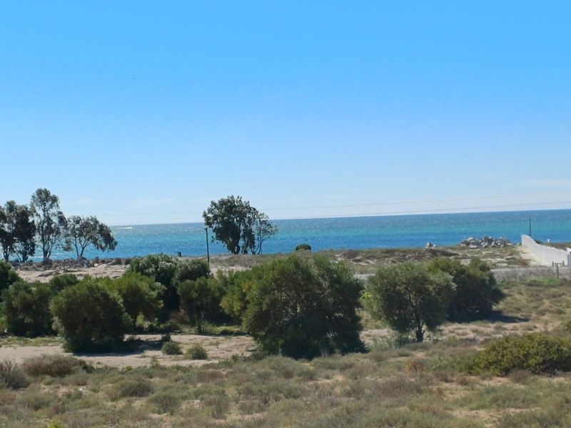 A scenic view of the coastal landscape featuring native vegetation and an expansive ocean horizon.