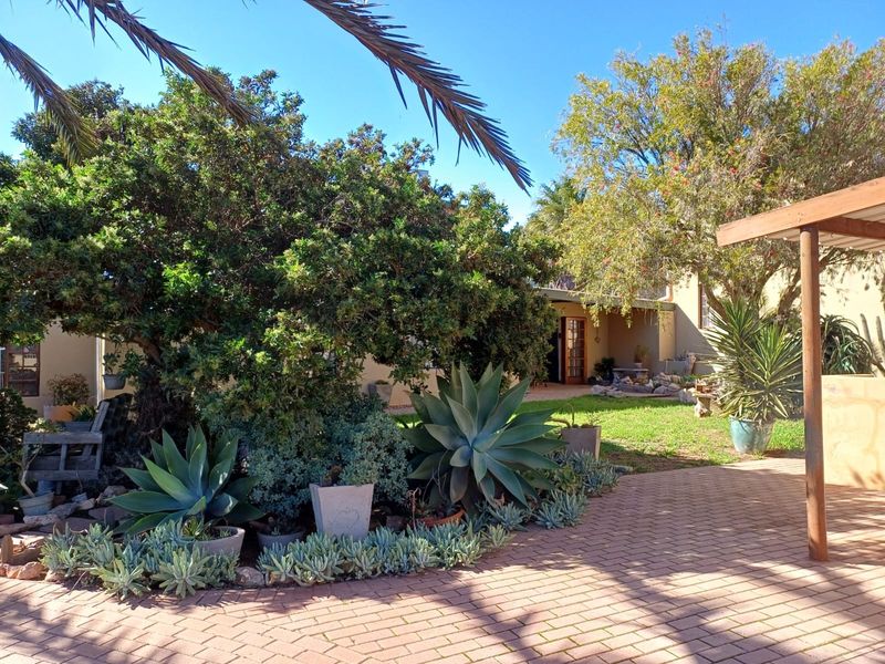 A well-maintained rear garden featuring a paved patio area, a timber pergola, and established landscaping with mature trees and succulents.