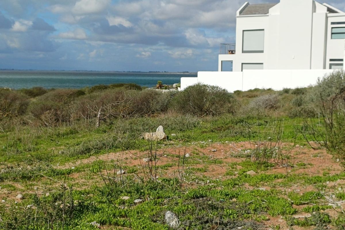 A scenic view of the coastal landscape and natural vegetation, showcasing the property's proximity to the ocean.