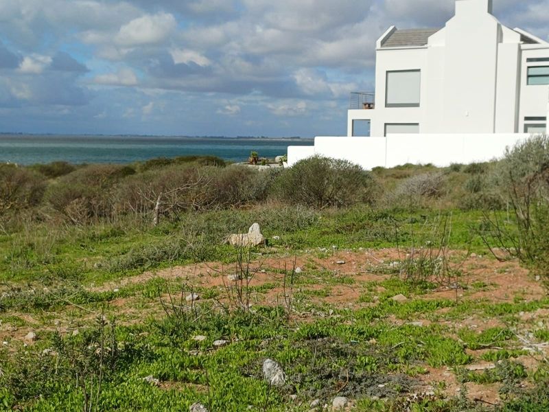 A scenic view of the coastal landscape and natural vegetation, showcasing the property's proximity to the ocean.