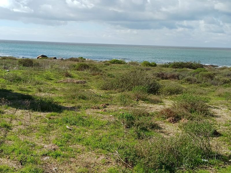 A scenic view of the coastal landscape and ocean, showcasing the natural terrain of the vacant residential land.
