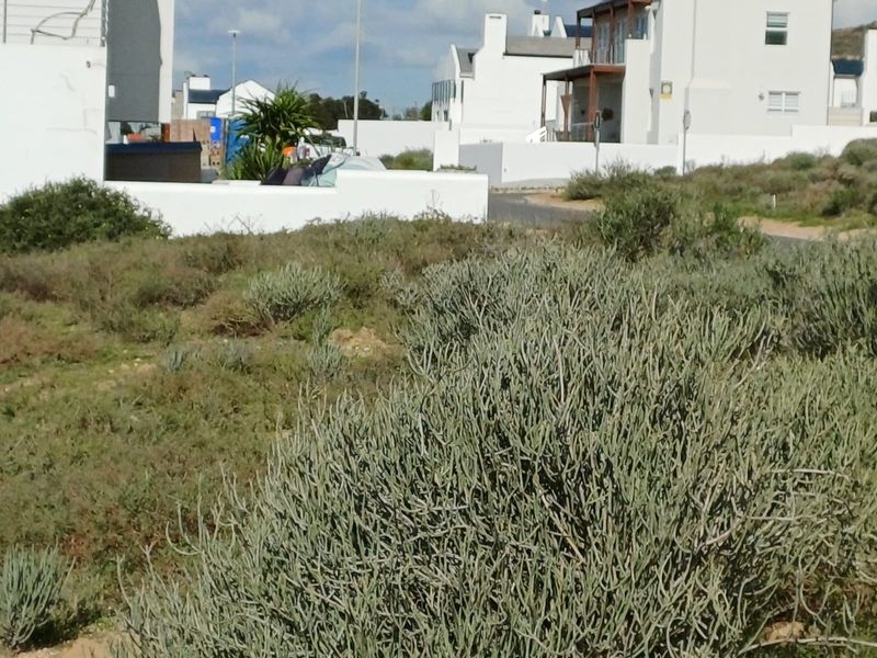 A view of a vacant residential plot featuring native coastal vegetation with established neighboring properties visible in the background.