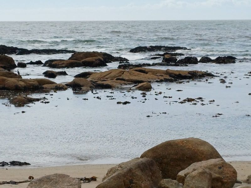 A scenic coastal view featuring rocky outcrops, tidal pools, and the ocean horizon.