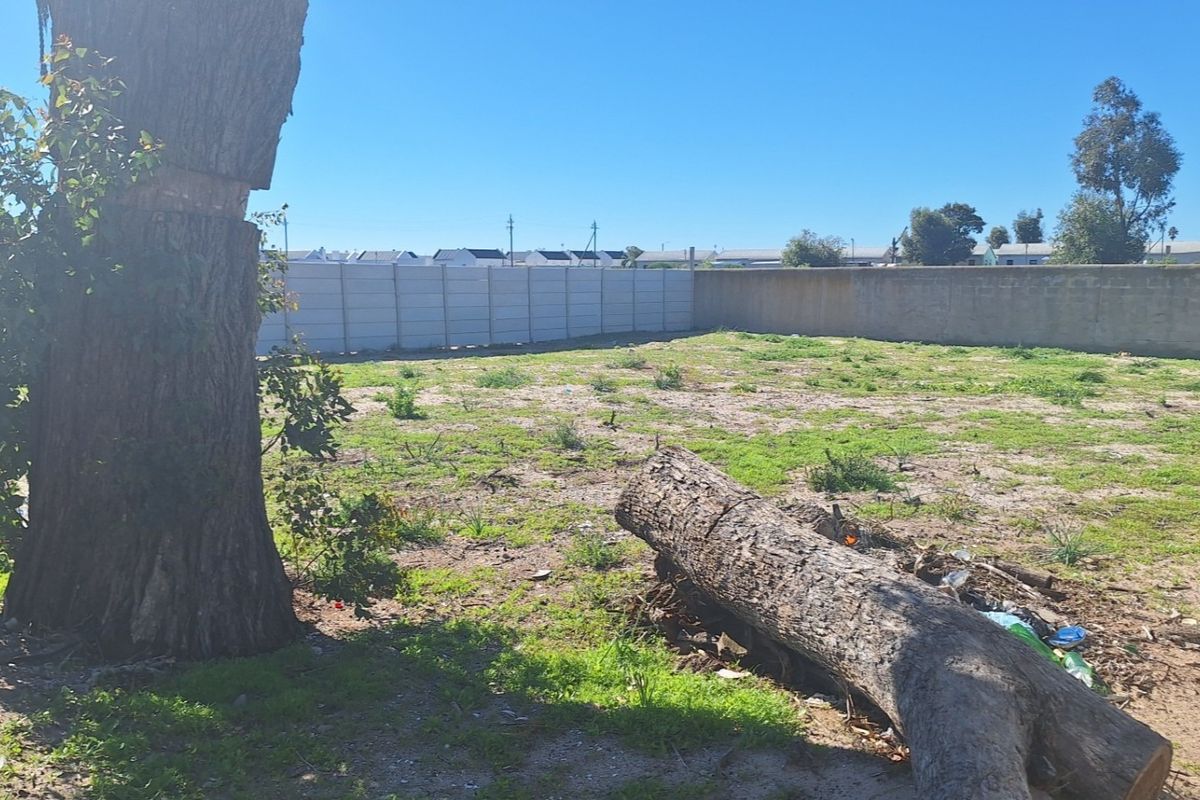 A vacant residential plot featuring a precast concrete boundary wall and existing mature trees, offering a blank canvas for development.