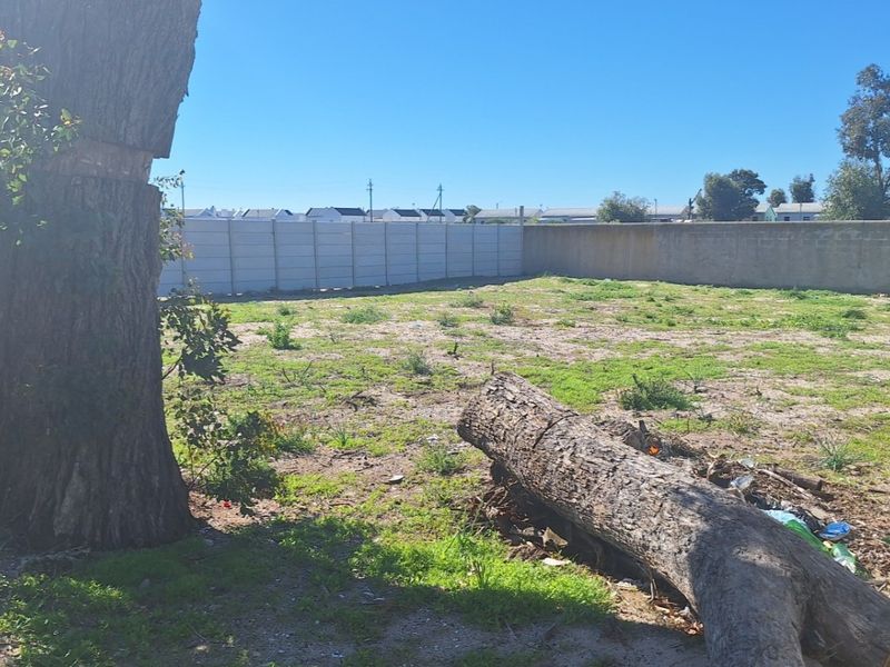 A vacant residential plot featuring a precast concrete boundary wall and existing mature trees, offering a blank canvas for development.