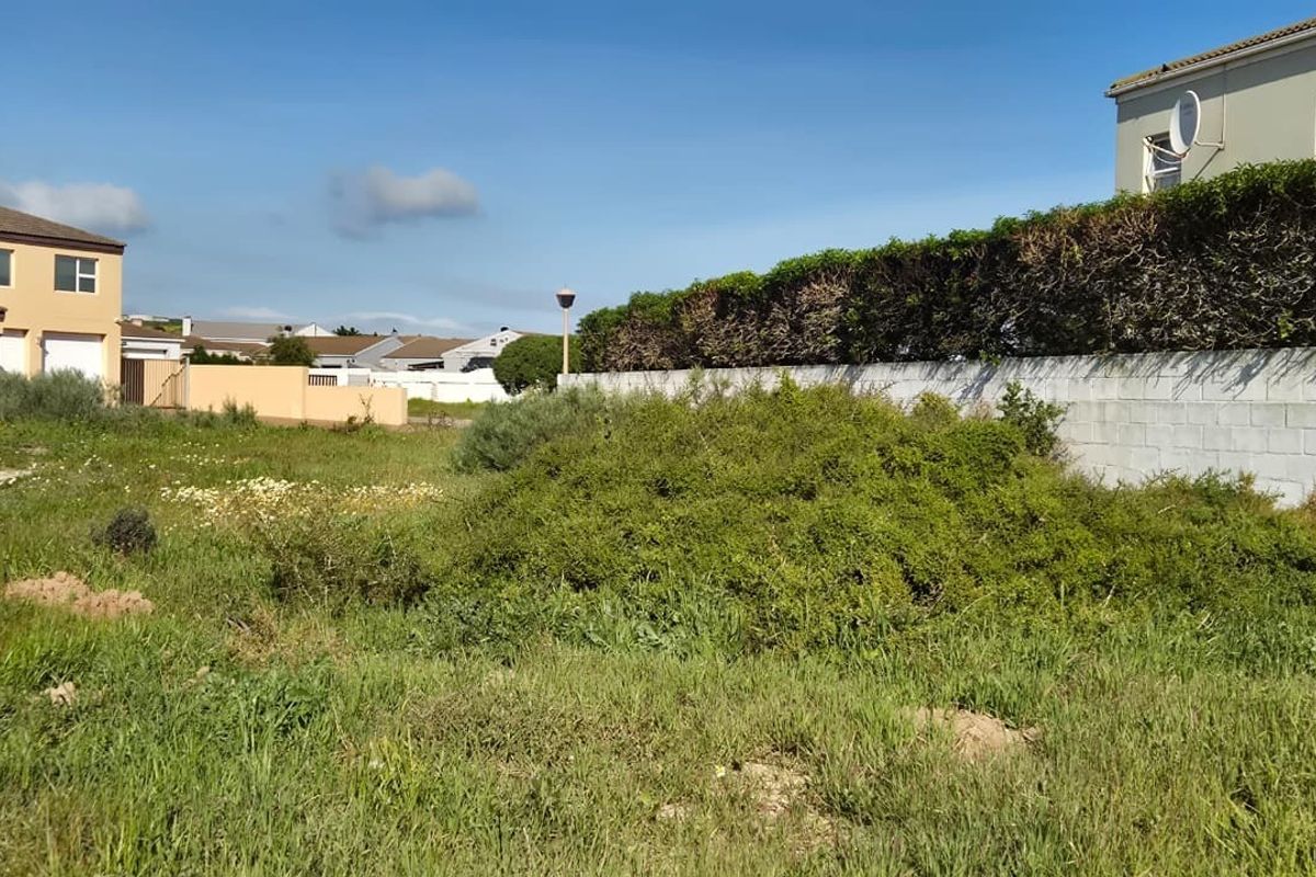 A vacant residential plot featuring a boundary wall and established hedging, situated in a developed suburban neighborhood.