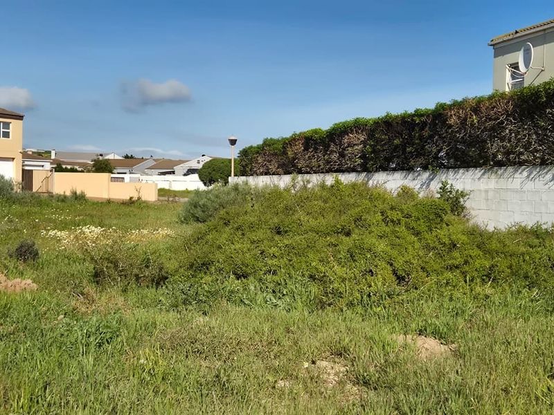 A vacant residential plot featuring a boundary wall and established hedging, situated in a developed suburban neighborhood.