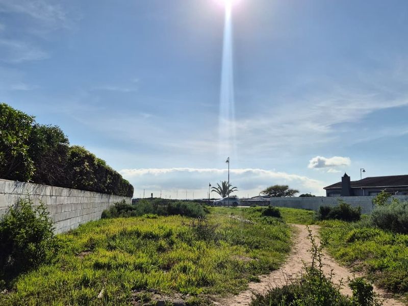 A vacant residential plot featuring a dirt path and boundary walls, offering a clear space for future development.