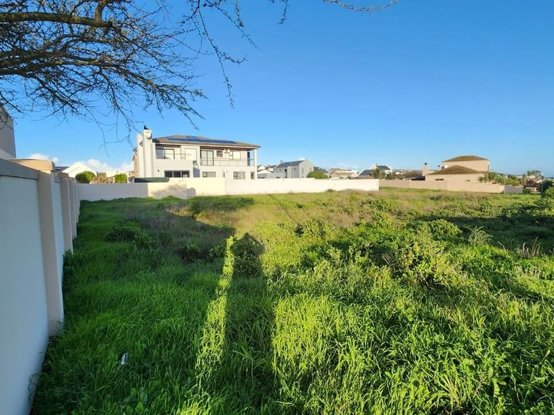 A vacant residential plot featuring a perimeter wall, surrounded by established residential properties in a quiet neighborhood setting.