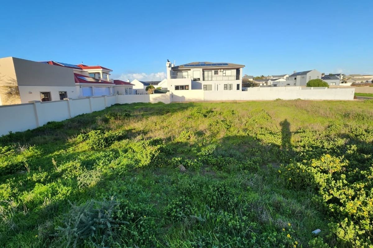 A vacant residential plot featuring natural vegetation, enclosed by perimeter boundary walls within an established residential neighborhood.