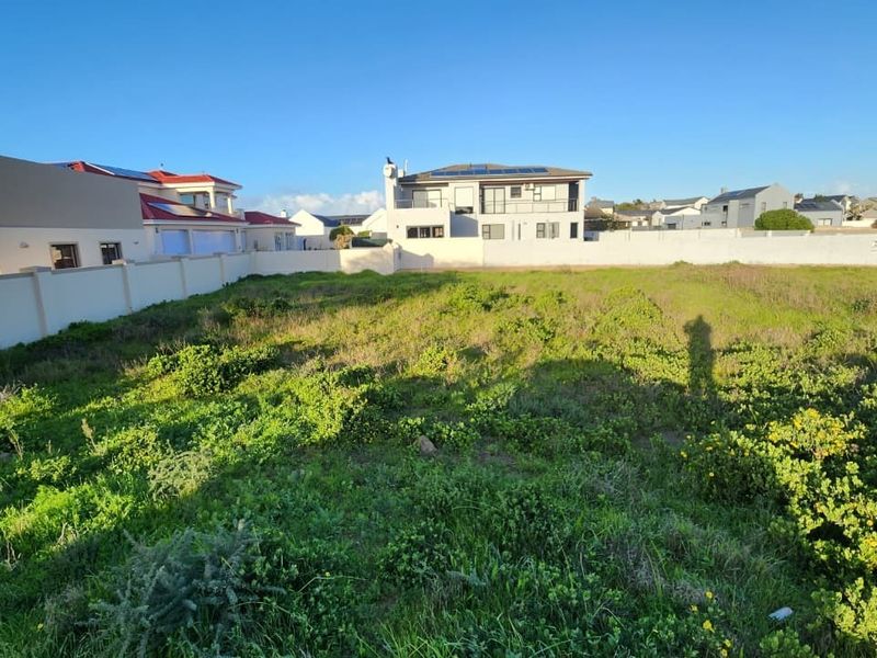 A vacant residential plot featuring natural vegetation, enclosed by perimeter boundary walls within an established residential neighborhood.