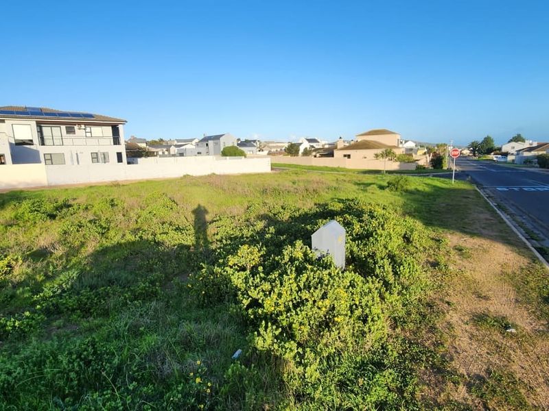 A vacant residential plot situated on a corner lot, featuring natural vegetation and direct access to a paved street in a developed neighborhood.