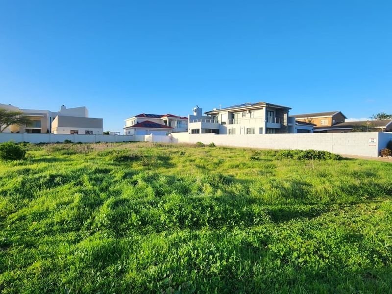 A vacant residential plot covered in grass, enclosed by a perimeter wall, situated in an established neighborhood with surrounding residential properties.
