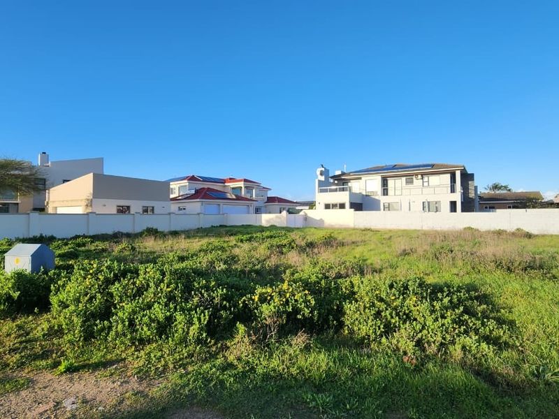A vacant residential plot featuring natural vegetation, enclosed by a perimeter wall, situated in a developed neighborhood with surrounding residential properties.