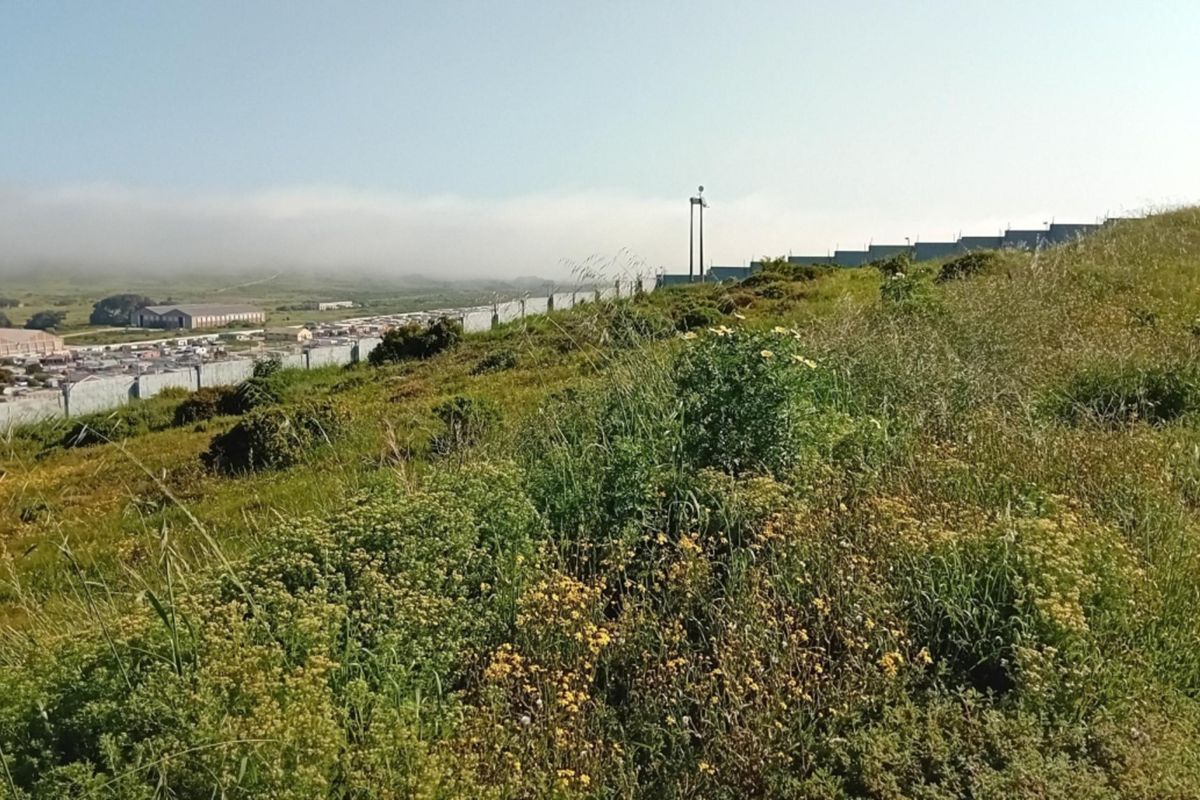 A view of the vacant residential land featuring natural vegetation, perimeter fencing, and a paved street edge with distant neighborhood views.