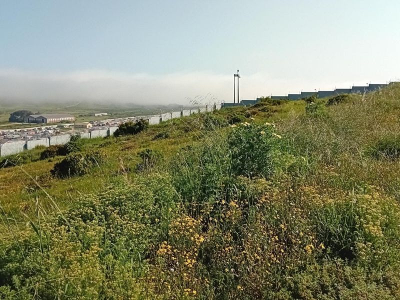 A view of the vacant residential land featuring natural vegetation, perimeter fencing, and a paved street edge with distant neighborhood views.