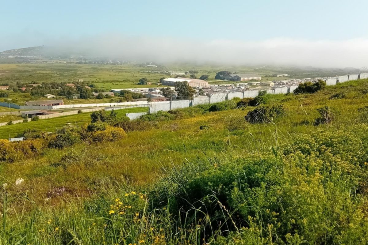 Elevated view overlooking the surrounding landscape, natural vegetation, and distant residential area with a boundary wall visible in the mid-ground.