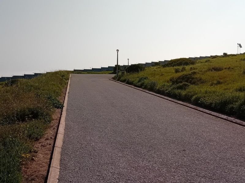 A paved residential street with concrete curbing and street lighting, leading through a vacant land development area.