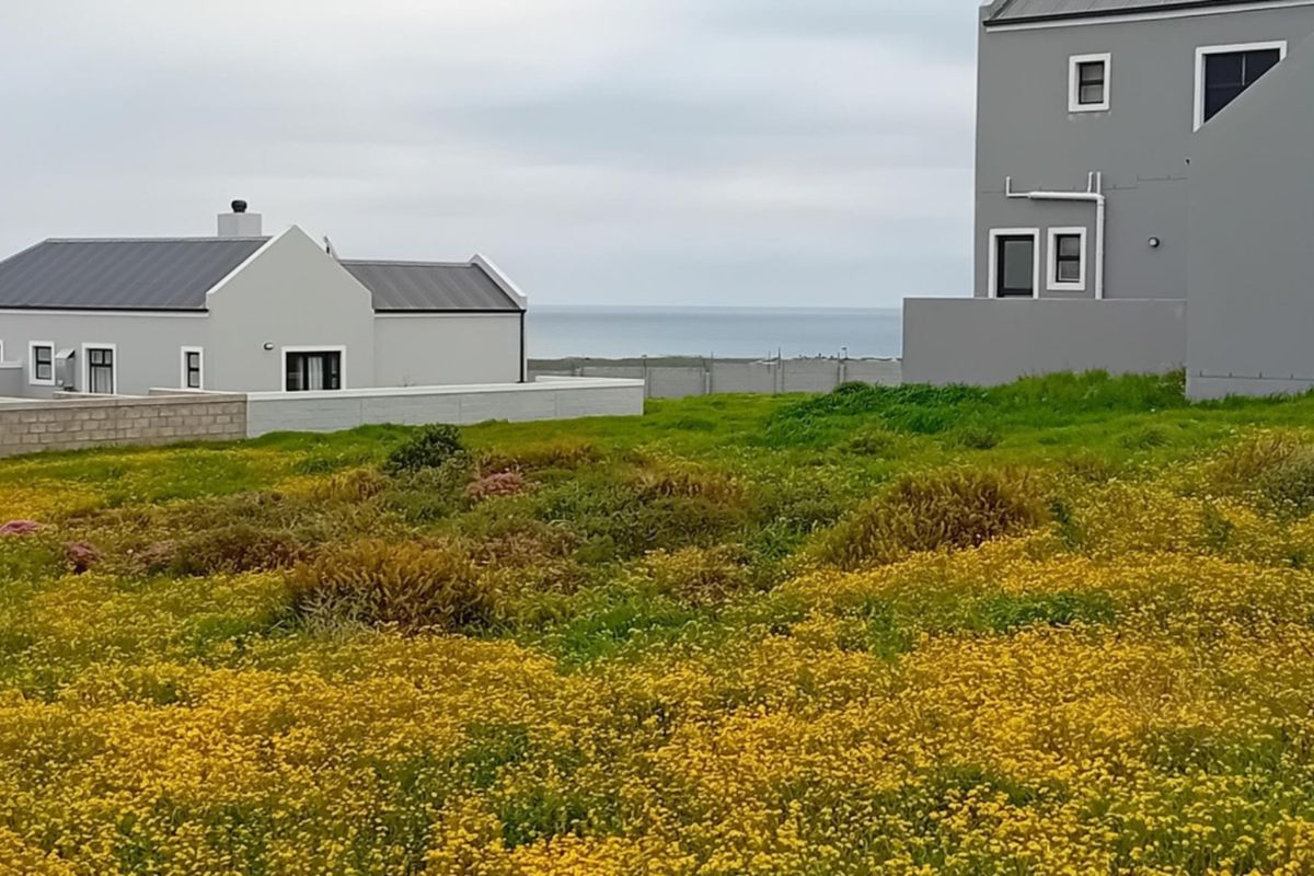A vacant residential plot featuring natural vegetation with surrounding established homes and distant ocean views.