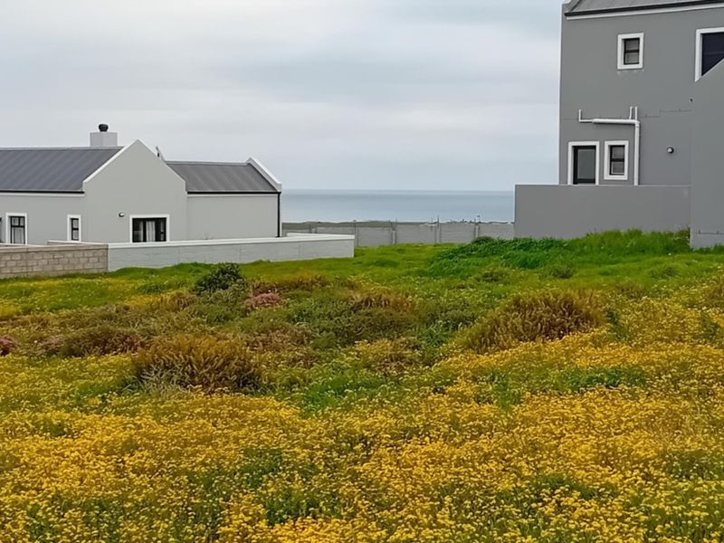 A vacant residential plot featuring natural vegetation with surrounding established homes and distant ocean views.