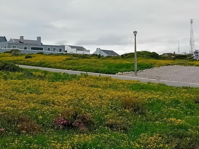 A view of a vacant residential plot featuring natural vegetation, a paved road, and street lighting in a developed neighborhood.