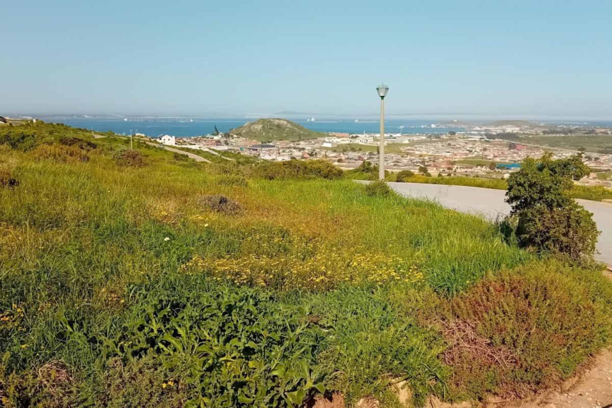 A scenic elevated view overlooking the surrounding landscape, coastal town, and ocean horizon from the vacant residential plot.