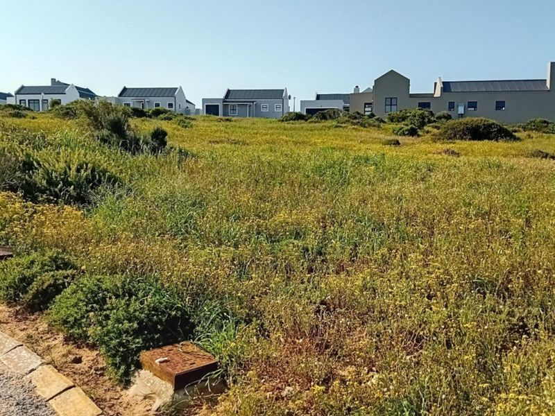 A vacant residential plot covered in natural vegetation, featuring visible utility access points and kerbing, situated in a developed residential estate.