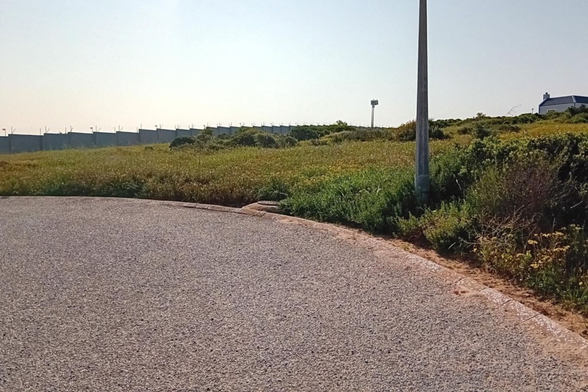 A view of a vacant residential plot featuring a paved road frontage, perimeter wall, and natural vegetation.