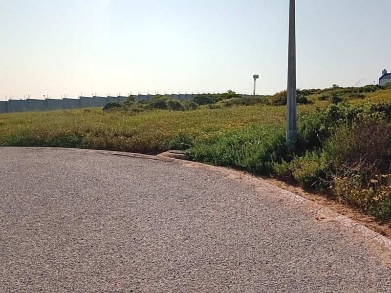 A view of a vacant residential plot featuring a paved road frontage, perimeter wall, and natural vegetation.