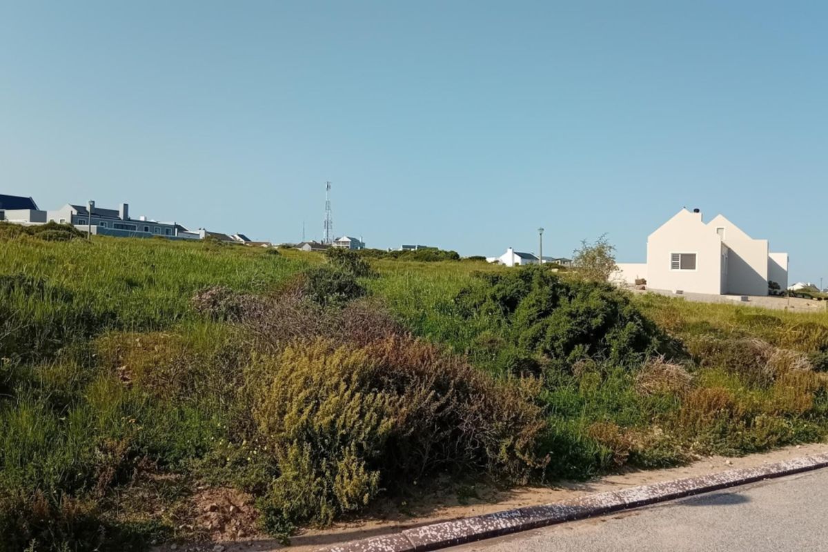 A view of a vacant residential plot featuring natural vegetation, adjacent to a paved road in a coastal neighborhood setting.