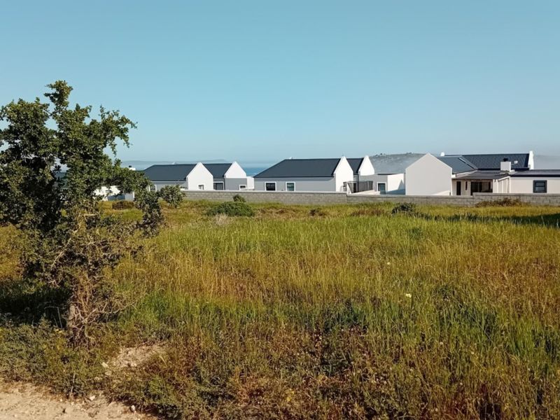 A view of a vacant residential plot featuring natural vegetation and a boundary wall, with neighboring houses visible in the background.
