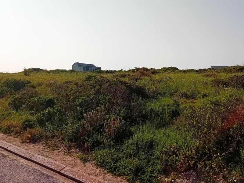 A view of a vacant residential plot featuring natural vegetation and bordering a paved road with concrete kerbing.