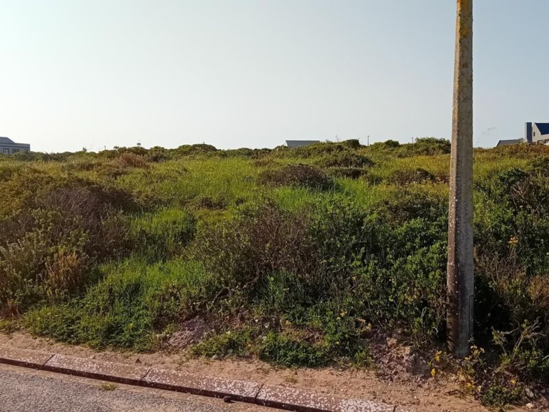A vacant residential plot featuring natural vegetation, a utility pole, and street-side kerbing in a developed neighbourhood.