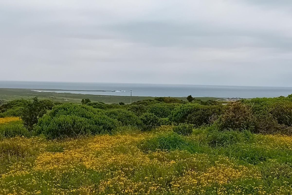 A scenic view of the coastal landscape featuring natural vegetation and an expansive ocean horizon.