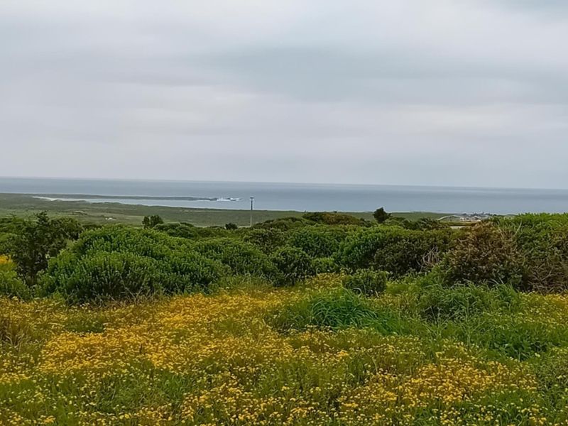 A scenic view of the coastal landscape featuring natural vegetation and an expansive ocean horizon.