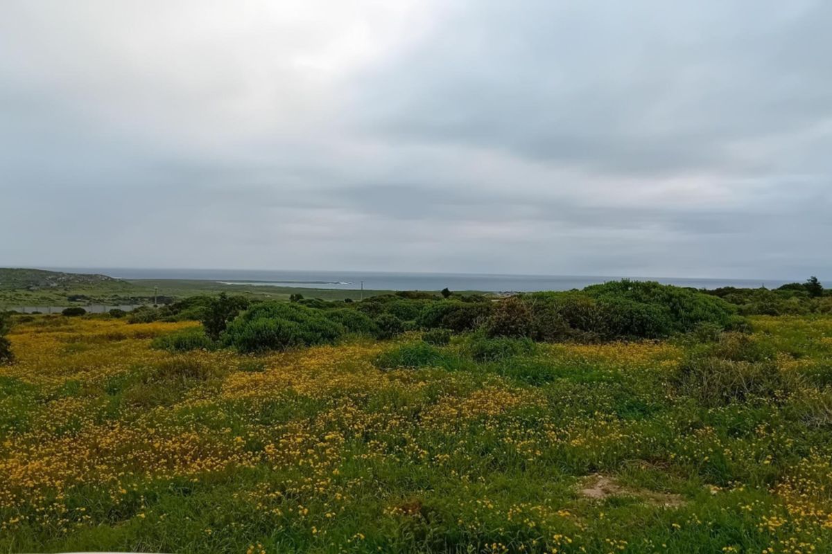 A scenic view of the coastal landscape featuring natural vegetation and distant ocean horizon, showcasing the property's expansive outdoor setting.