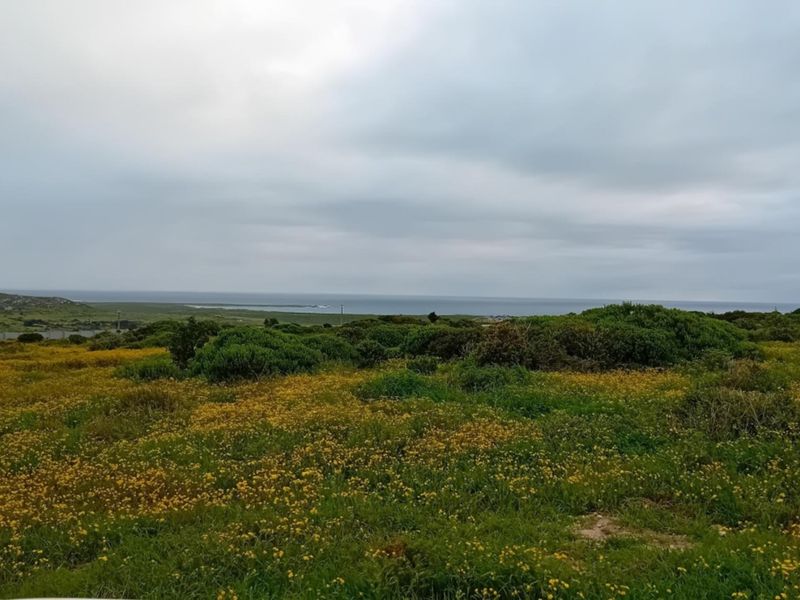 A scenic view of the coastal landscape featuring natural vegetation and distant ocean horizon, showcasing the property's expansive outdoor setting.