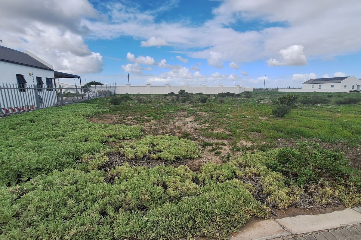 A vacant residential plot featuring natural ground cover, enclosed by a perimeter wall and metal fencing.